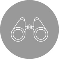 gama 2 vision